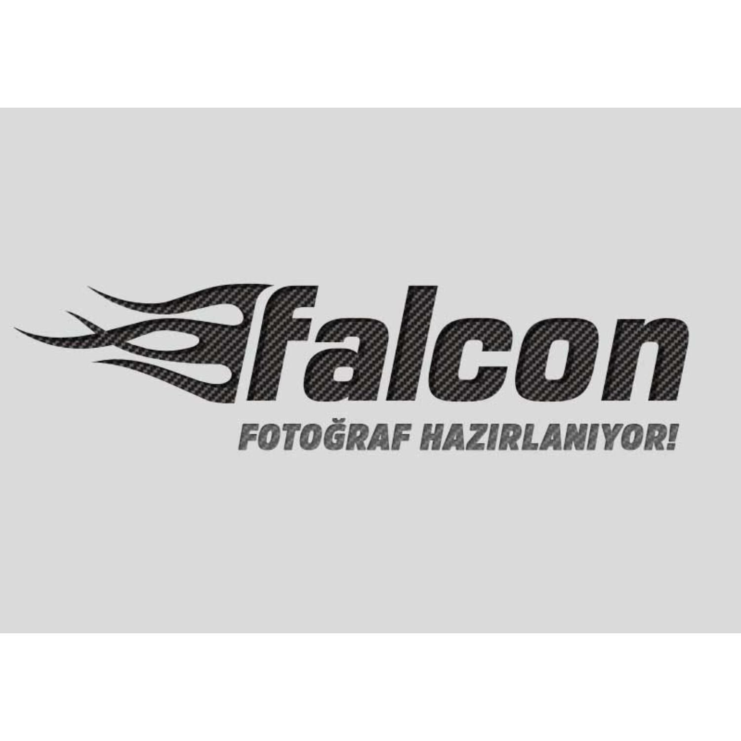 Falcon Arka Fren Disk-Martını 125 Cc