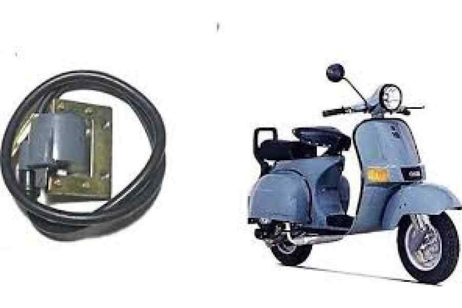 Bajaj Chetak Bobin Sensör Hn
