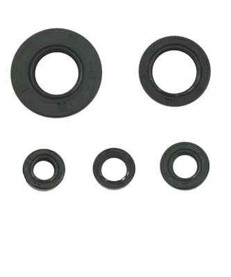 Yamaha Keçe Takımı 125 Ybr Uyumlu Takım