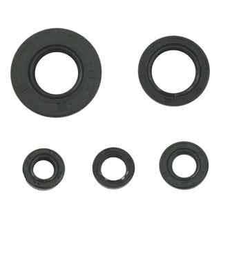 Yamaha Keçe Takımı 125 Ybr Uyumlu Takım