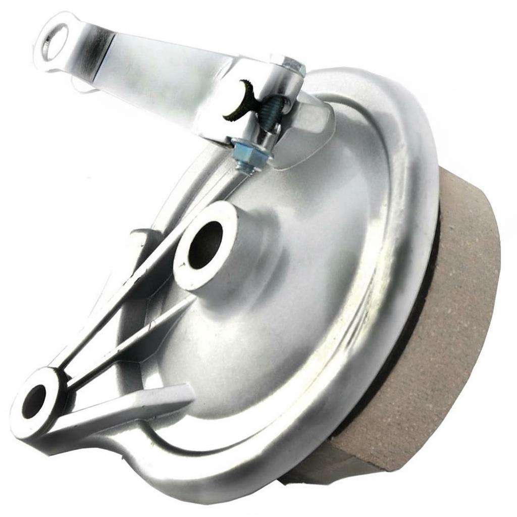 Cg Asya Model Arka Kampana Komple Uzun