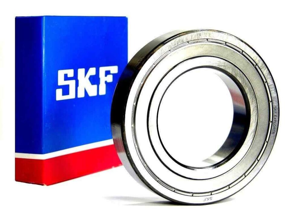 Bilya 6301 Zz Skf