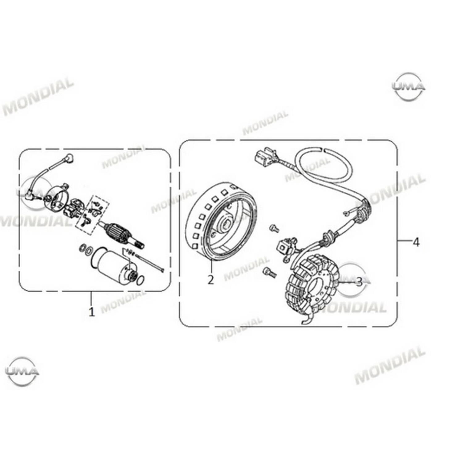 Buccaneer 250İ Rotor Orj