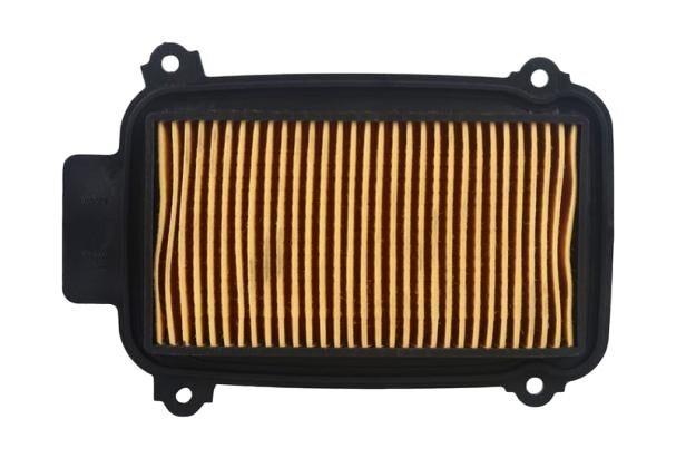 Hero Pleasure (Hr102-Pl) Ic Hava Filitresi Orj ResimNo:1