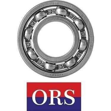 6202 Rulman Ors