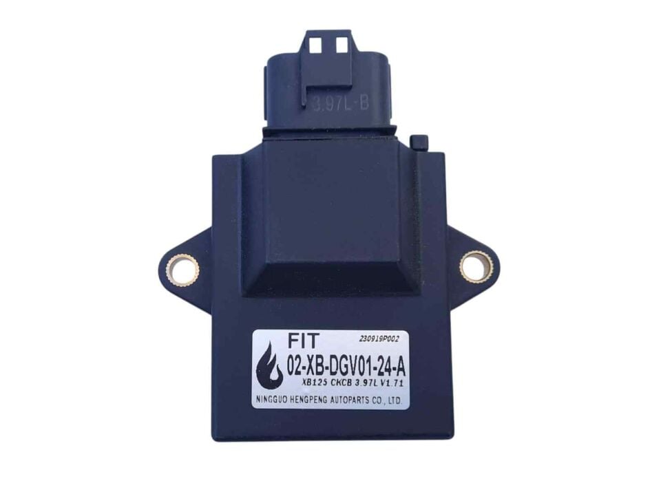 Rmg Ecu Beyin (Fıt) Panzer