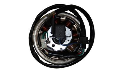 Scooter Manyeto (Alternatör) Komple 8 Li