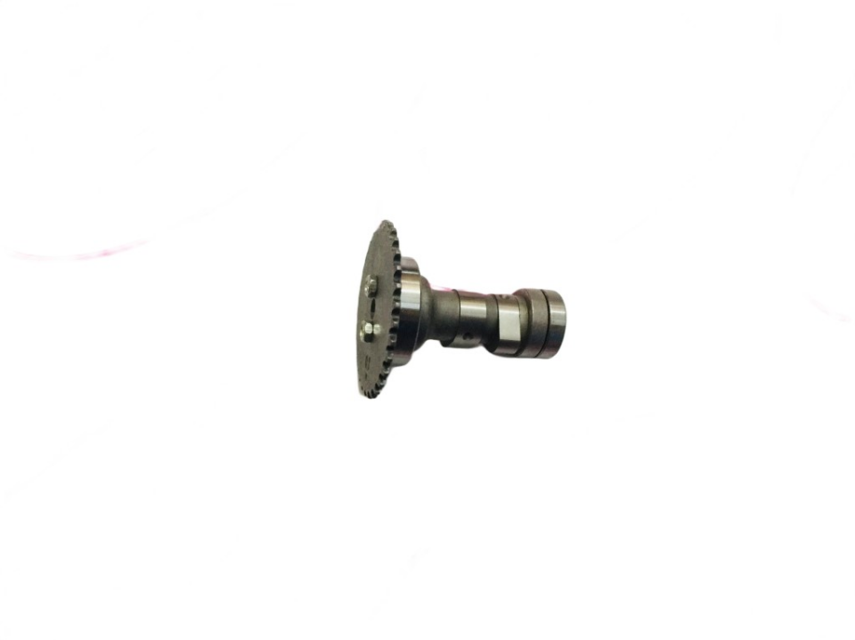 Cup 125 Ekzantrik Mili
