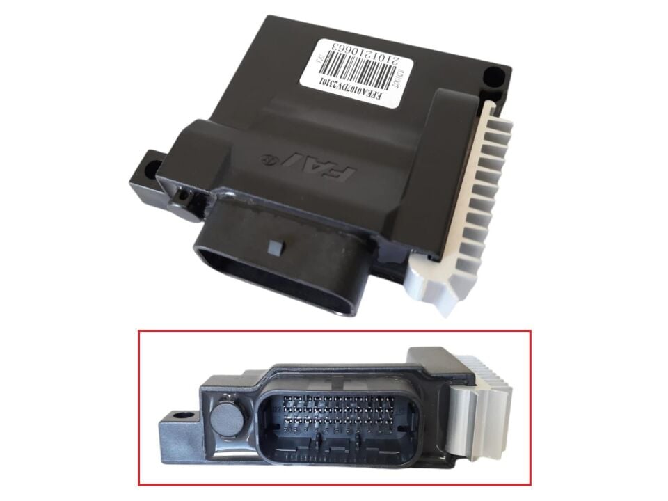 Mondial Ritmica 100 Ecu Beyin (2021-....) Orj