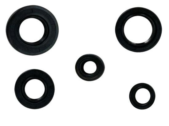 Yamaha Kece Takımı Nqk Ybr 125