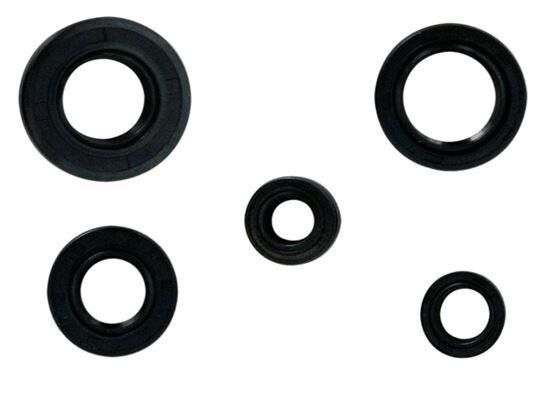 Yamaha Kece Takımı Nqk Ybr 125