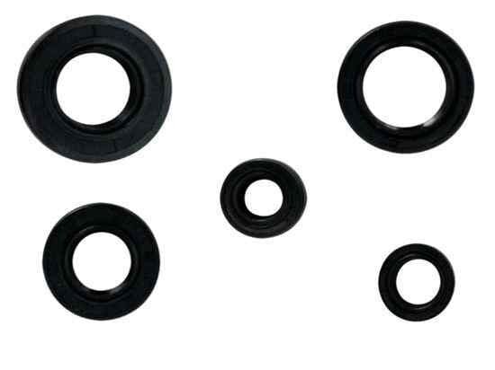 Yamaha Kece Takımı Nqk Ybr 125