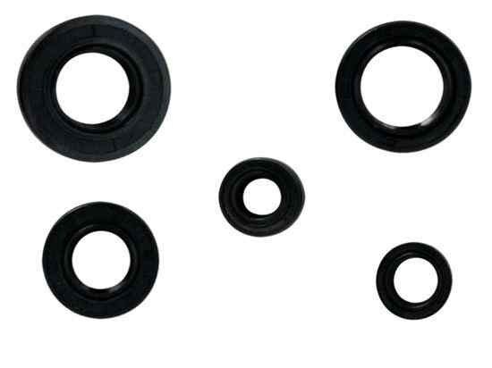 Yamaha Kece Takımı Nqk Ybr 125