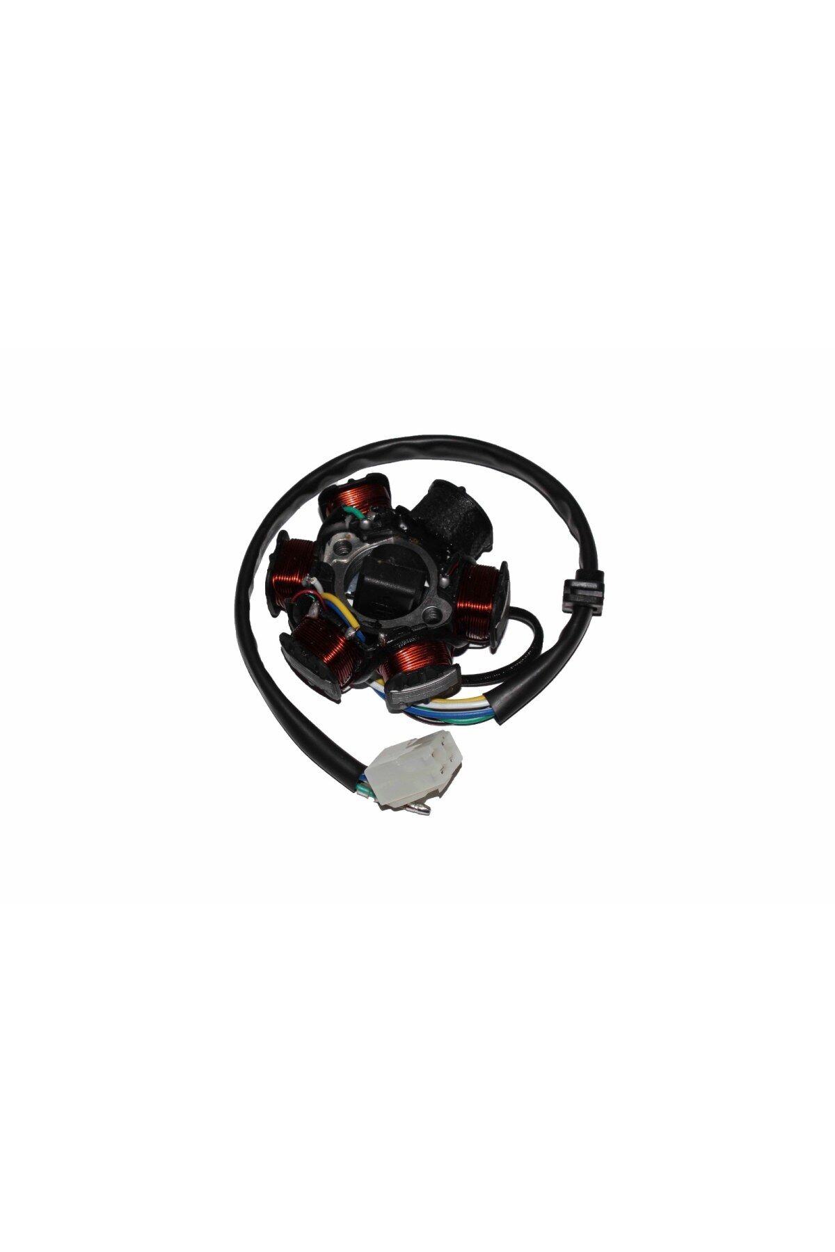 Cub Grubu Statör (sargı) 6 Lı-cub 100cc