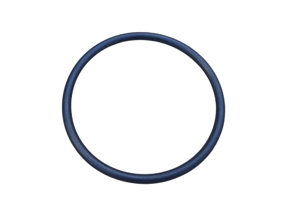 Honda Spacy Dio Activa S Şamandıra O-Ringi