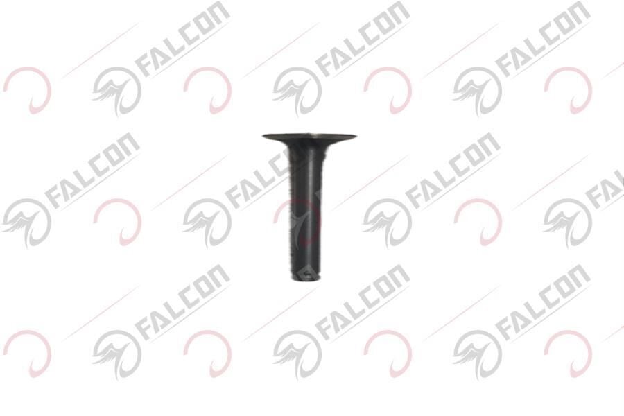 Master 50 Emme Egzoz Sibobu