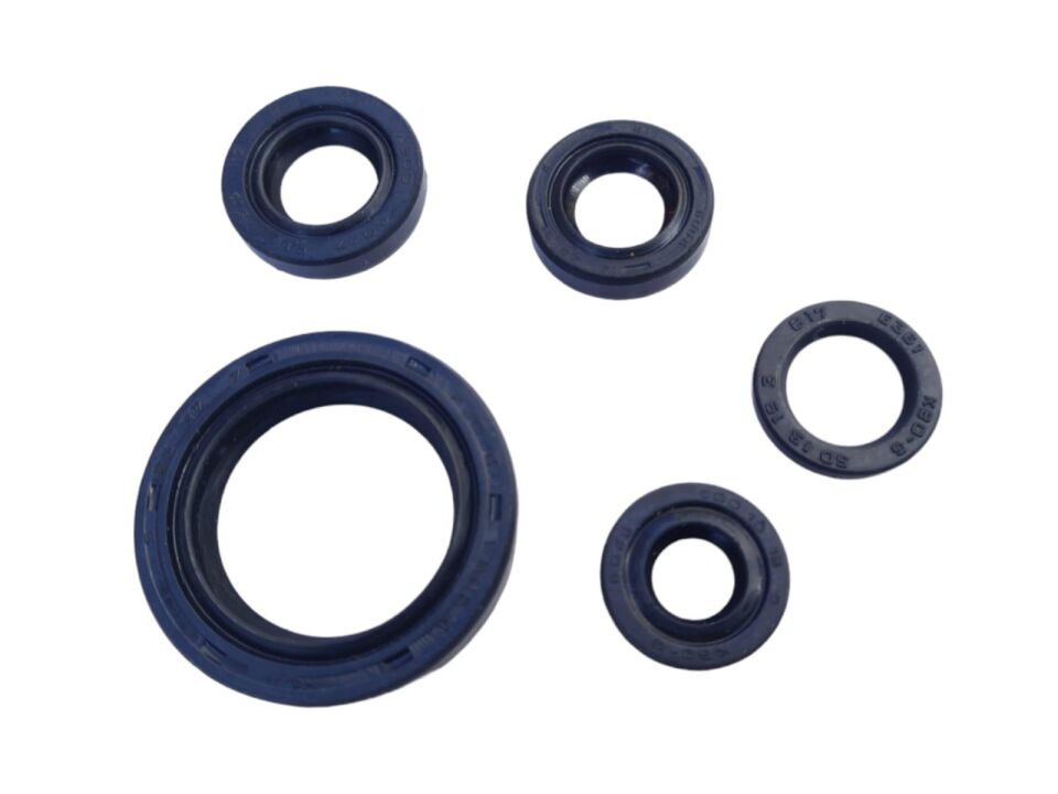 Bajaj Pulsar Ns 200 Keçe Seti 5 Li İth