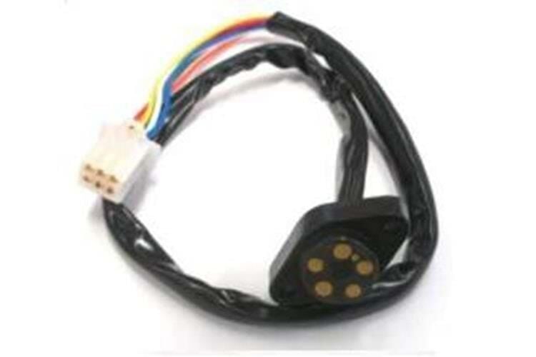 Asya Vites Müşürü Agk