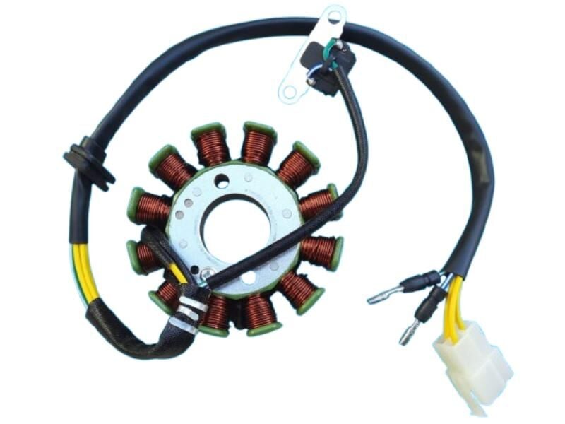 Mondial Sfc Statör 12 Li Enjeksiyonlu 29-88-31 Mm 2D 5K