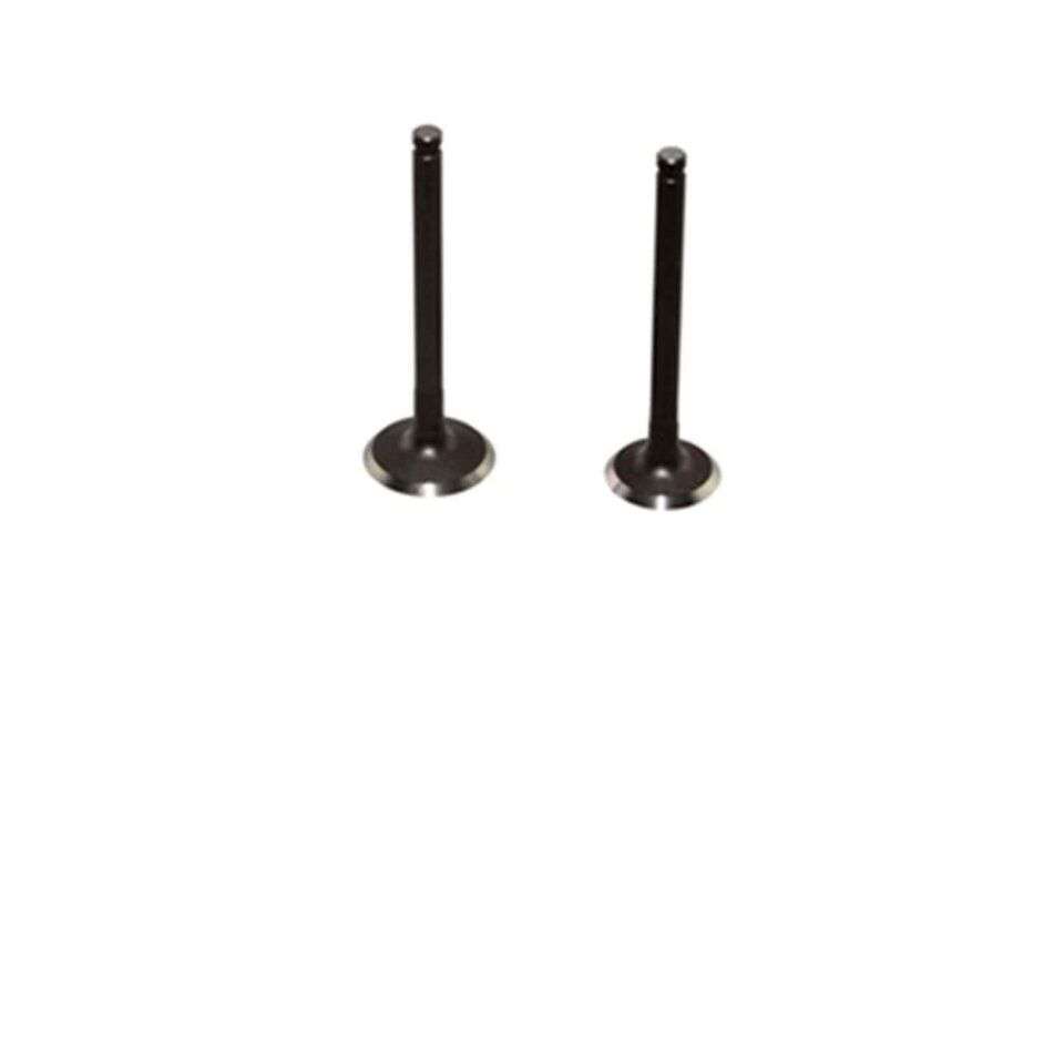 Subap Takımı Cup 100 Ys