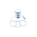 Rus Tw Piston 74.0 (2.00)