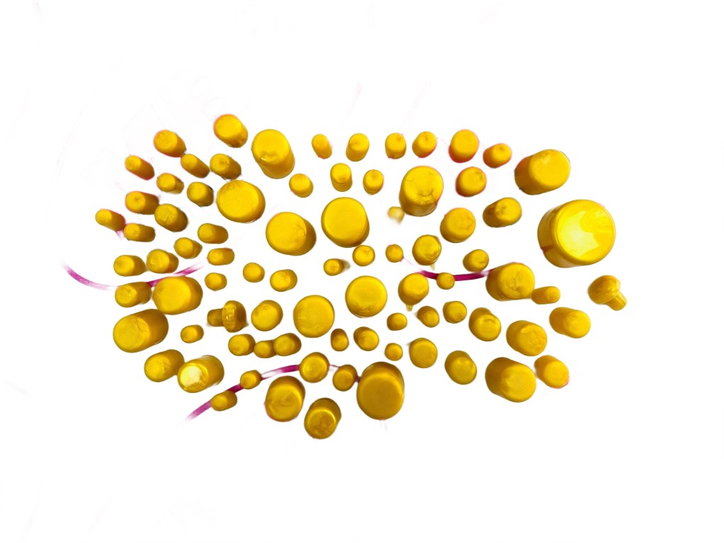 Vida Kapağı Gold 80 Parça