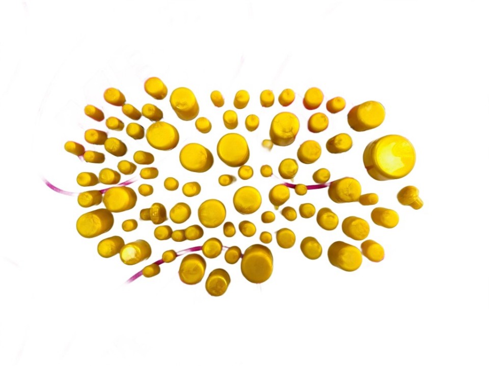 Vida Kapağı Gold 80 Parça