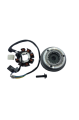 200 X-Treme Alternatör Komple (20 Bilyalı) Orj