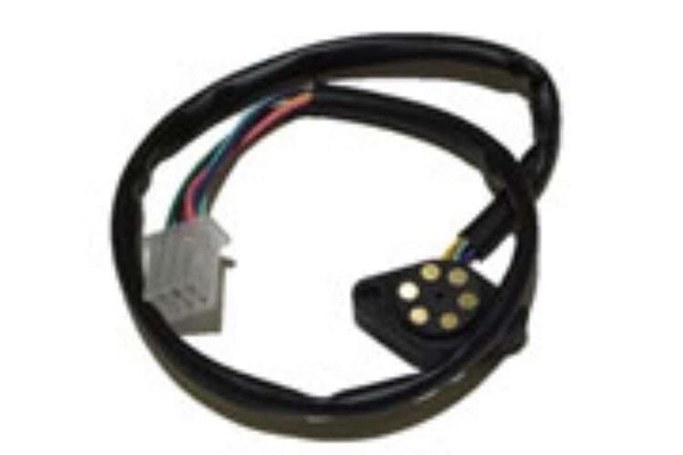 Ramzey Vites Müşürü Cg Asya