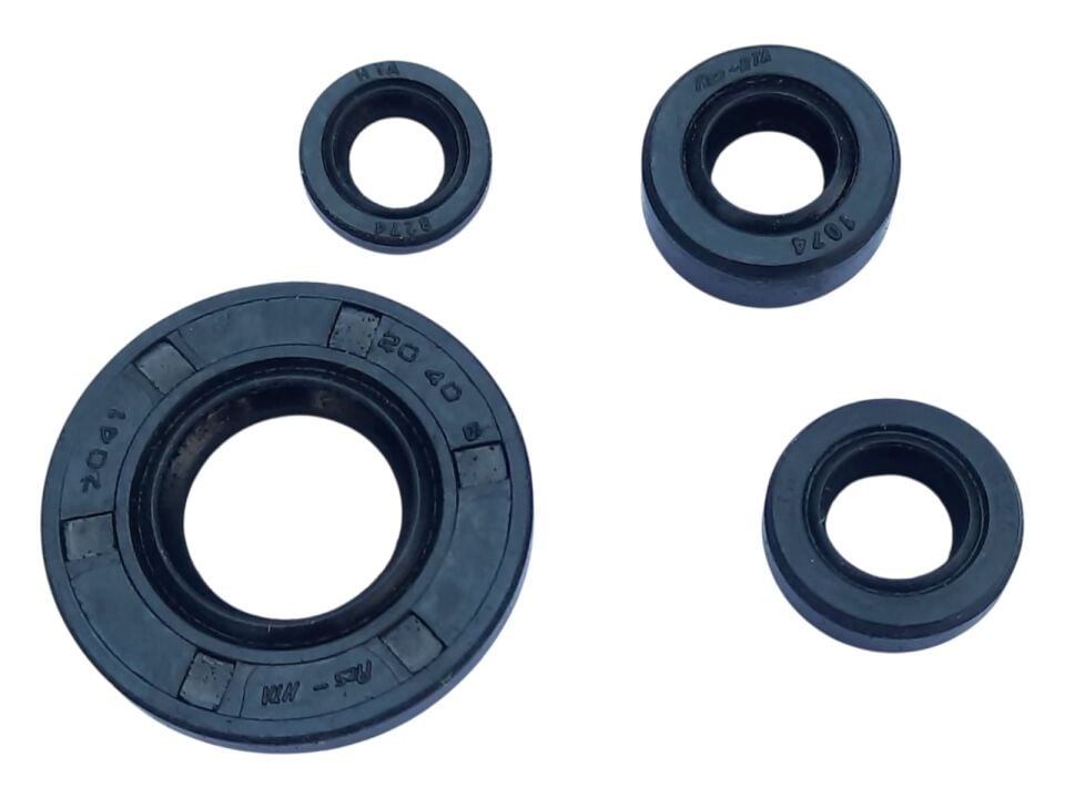 Tvs Raider 125 Keçe Seti 4 Lü Hn