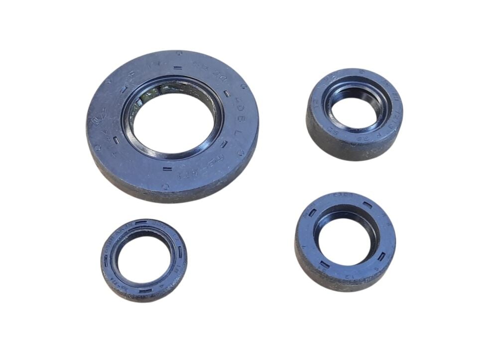 Tvs Apache Rtr 200 Keçe Seti 4 Lü N9325440 Orj