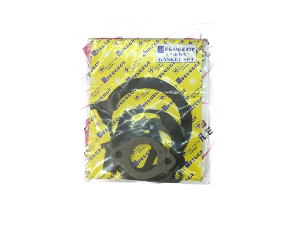 Pejo 105 Takım Conta