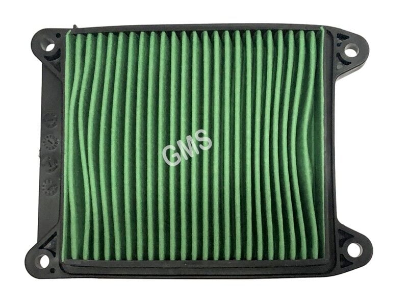 Bajaj Hava Fıltresı Pulsar N250-F250