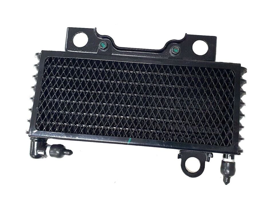 Bajaj Pulsar N250 F250 Yağ Radyatörü Jl571203 Orj