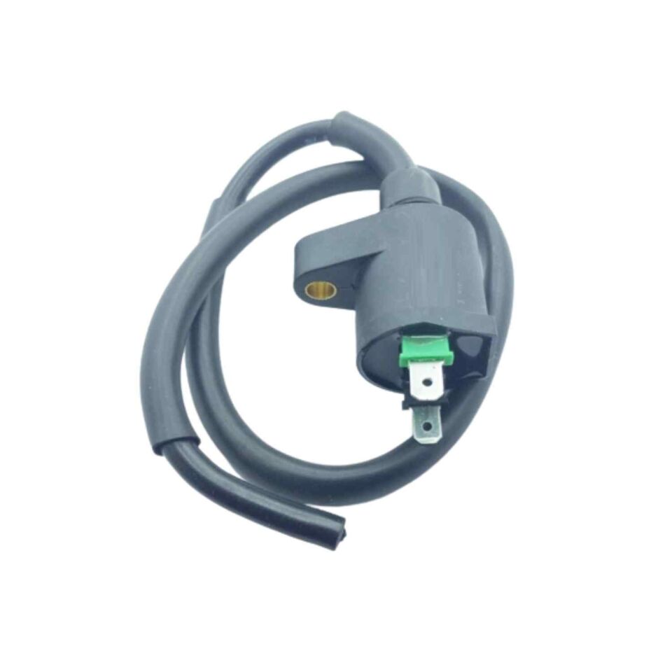 Pejo Peugeot Uyumlu Elektronik Dış Bobin Başlıklı