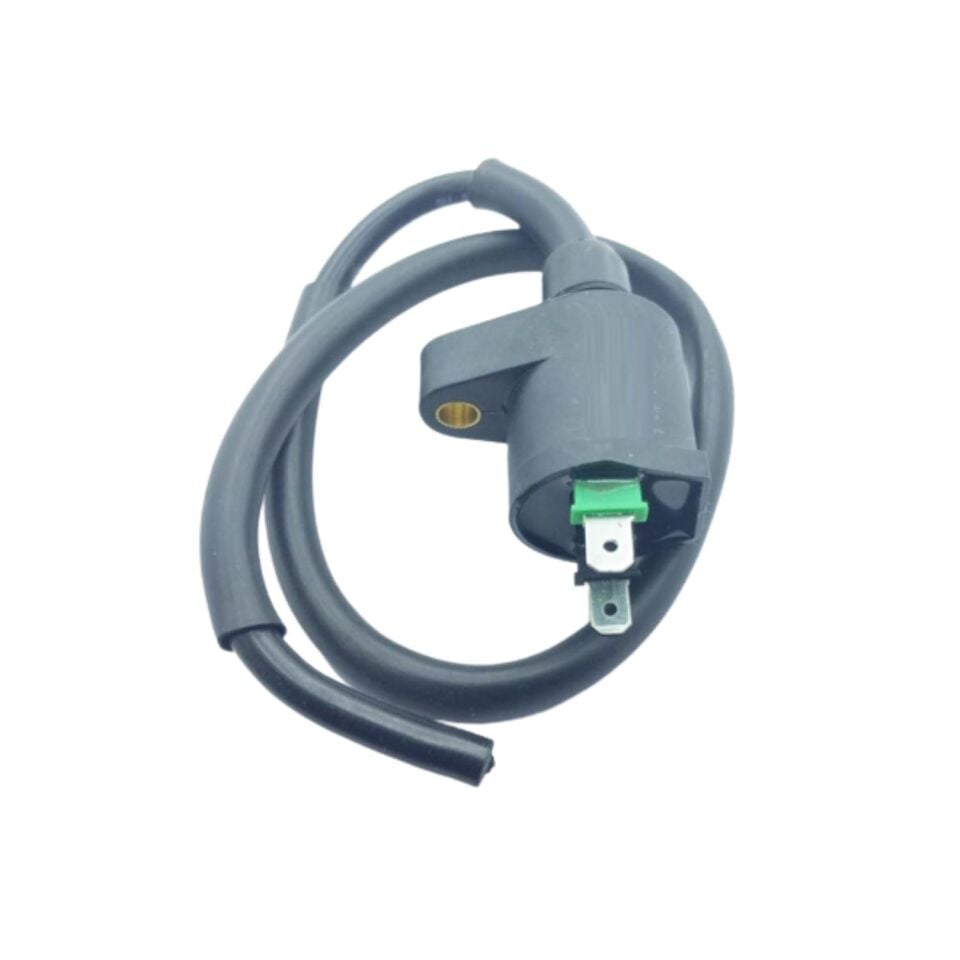 Pejo Peugeot Uyumlu Elektronik Dış Bobin Başlıklı