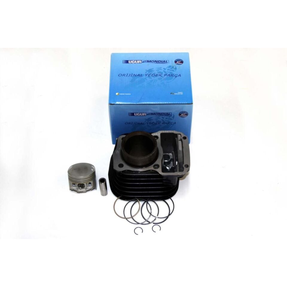 Cg 100 Silindir Komple 50 Mm 13 Pim Siyah