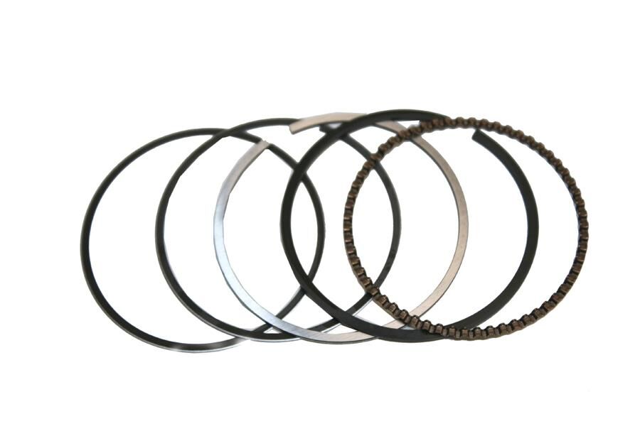 Mondial Loyal-Nt 100 Sekman