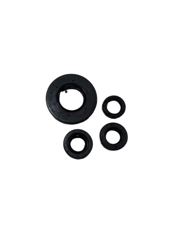 Tvs Keçe Takımı 4 Lü Apache 200 Orj